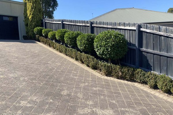 Hedge_7 after Hedge_7 after