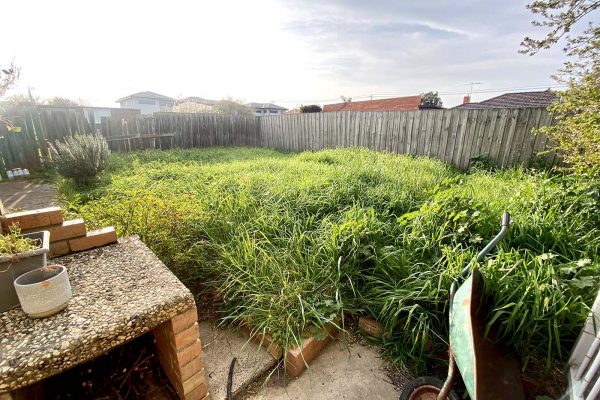 grass removal grass removal