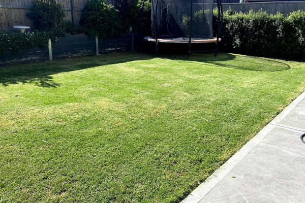 lawn-moaning lawn-moaning